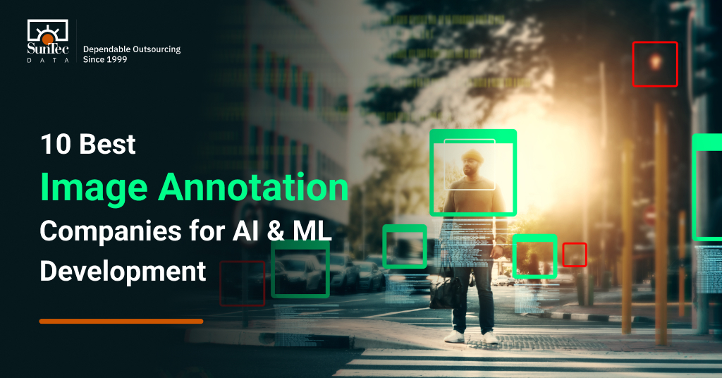 Top 10 Image Annotation Companies to Enhance AI Model Accuracy